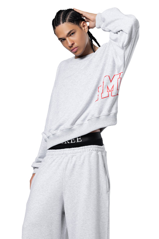 GREY CREWNECK SWEATER